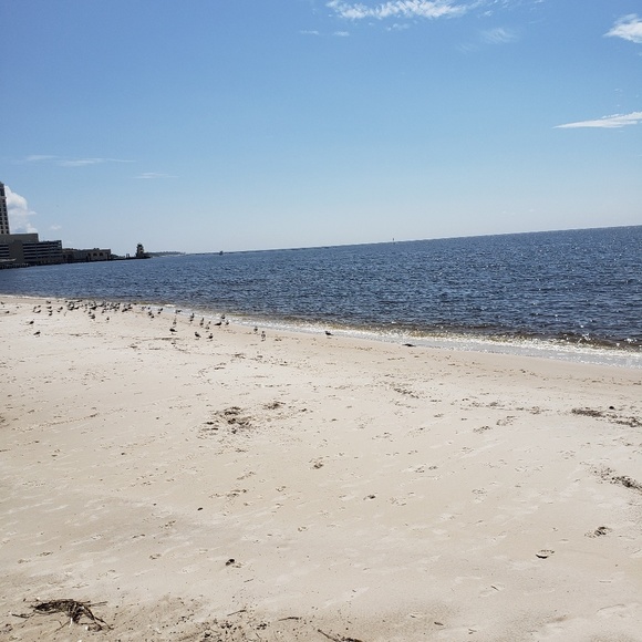 Meet your Posher, Salina - Picture 3 of 4